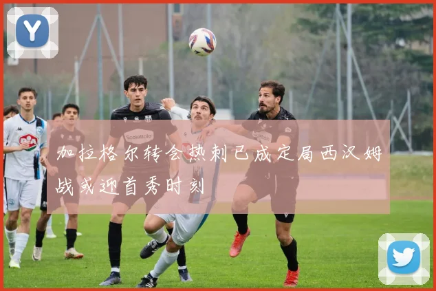 加拉格尔转会热刺已成定局西汉姆战或迎首秀时刻