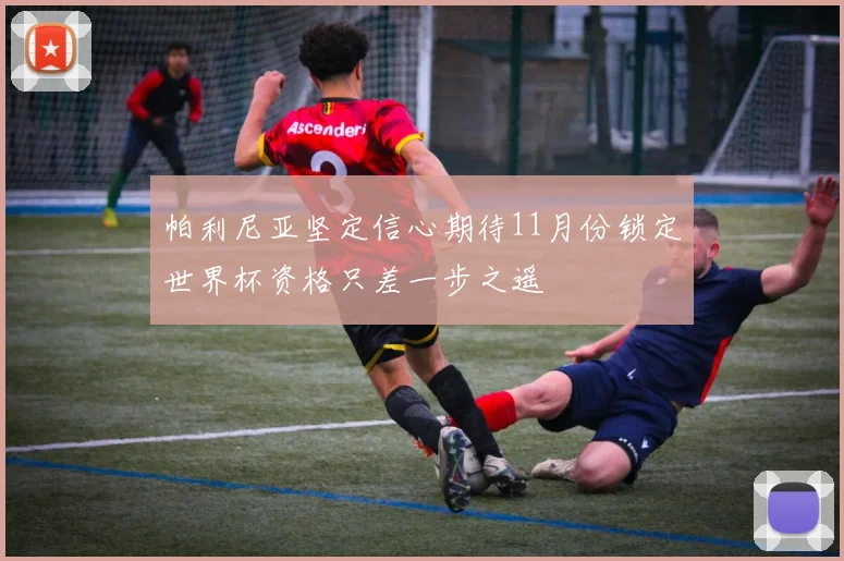 帕利尼亚坚定信心期待11月份锁定世界杯资格只差一步之遥
